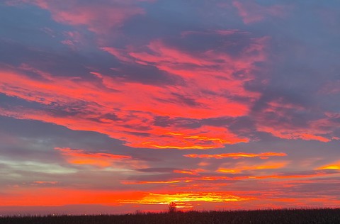 утро, sunset