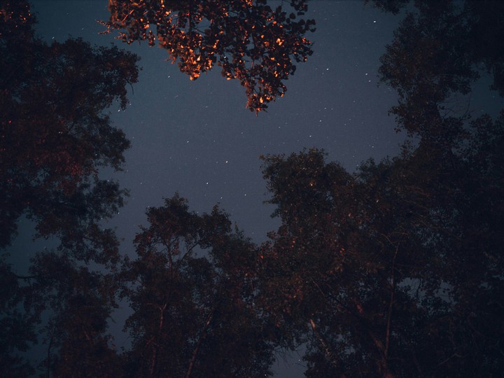 Night