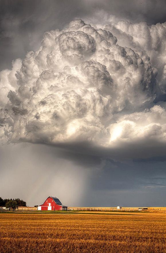 Weather