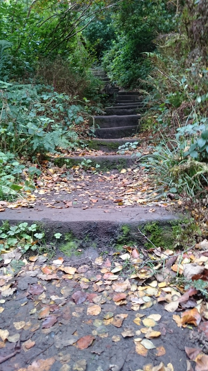 sleeper steps