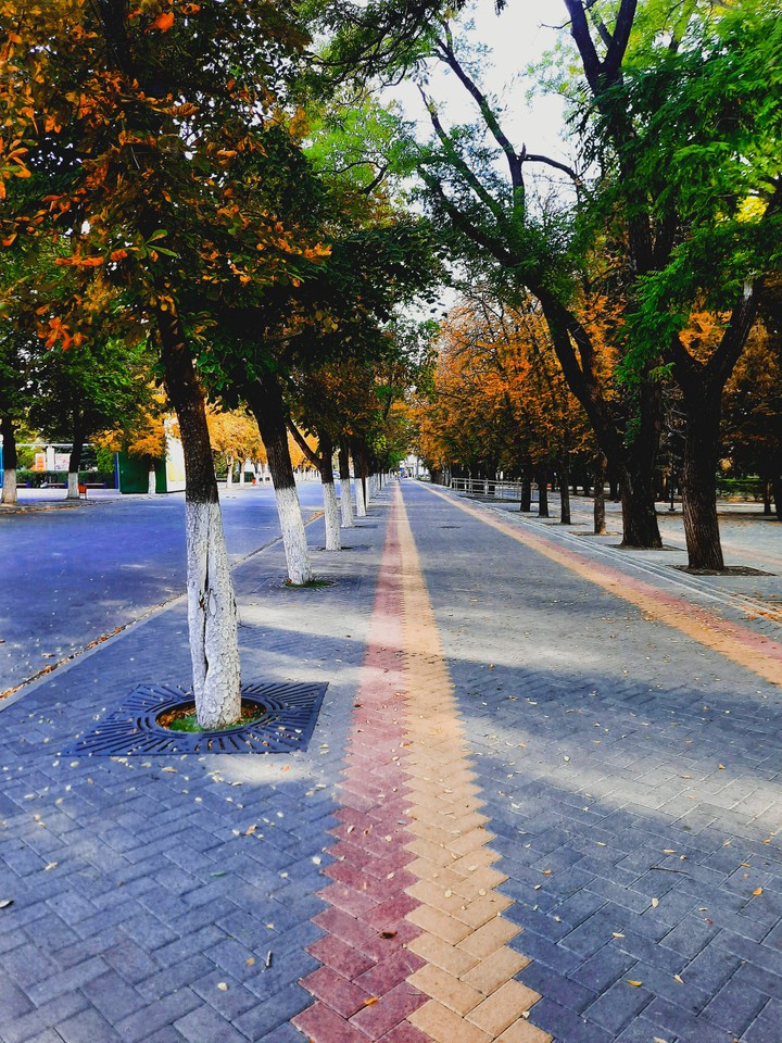 autumn