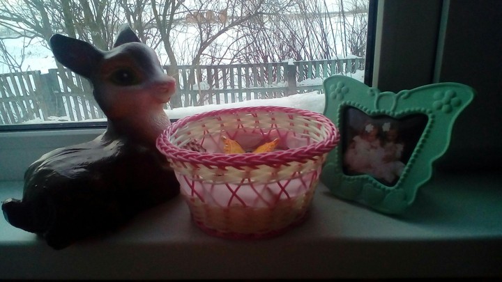deer, photo frame, seashells and a little casket