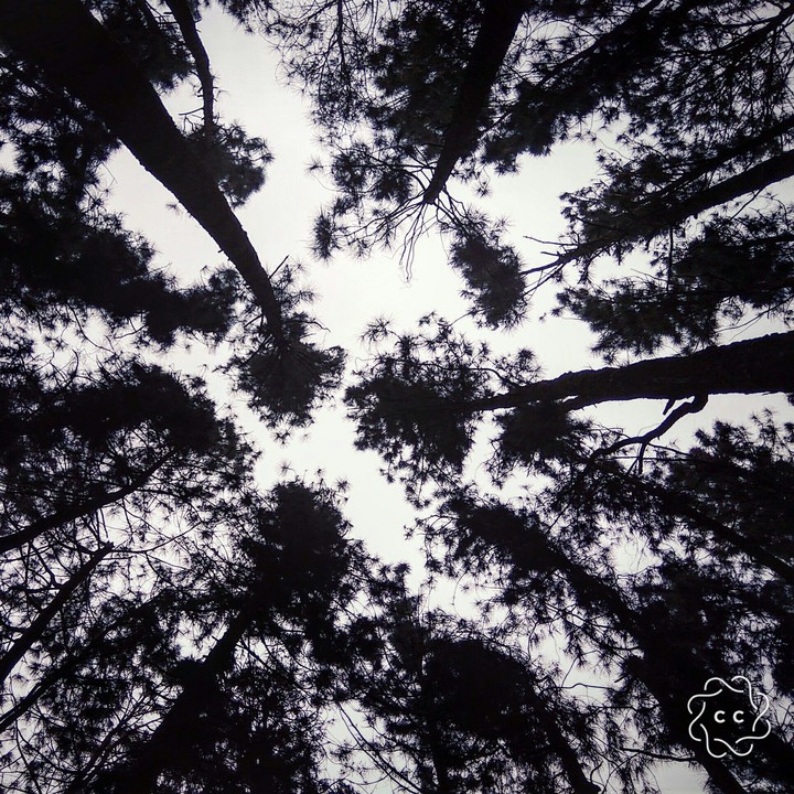 sky touching