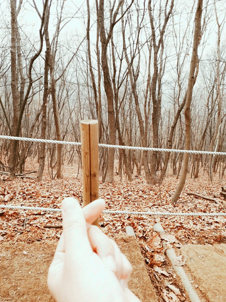 숲속의 하투❤