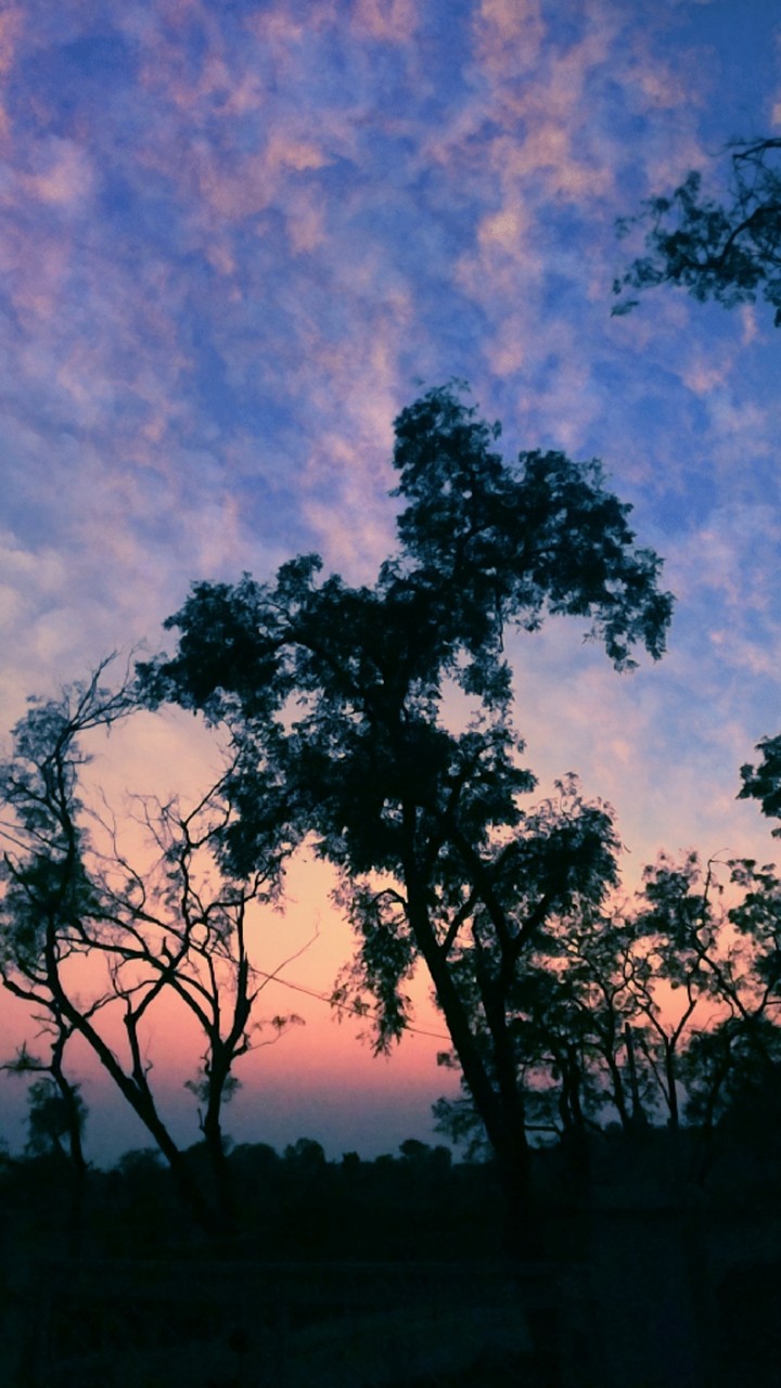 Filtered Sky