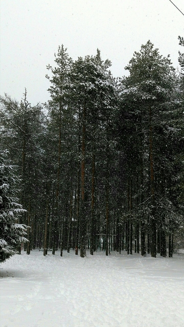 Winter