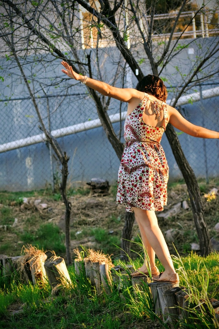 Volando