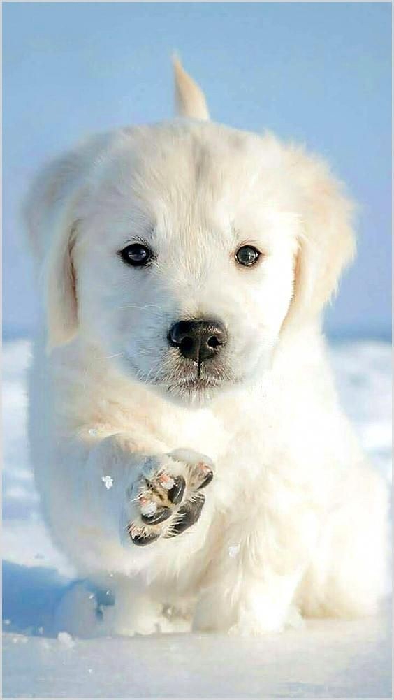 ♥️
