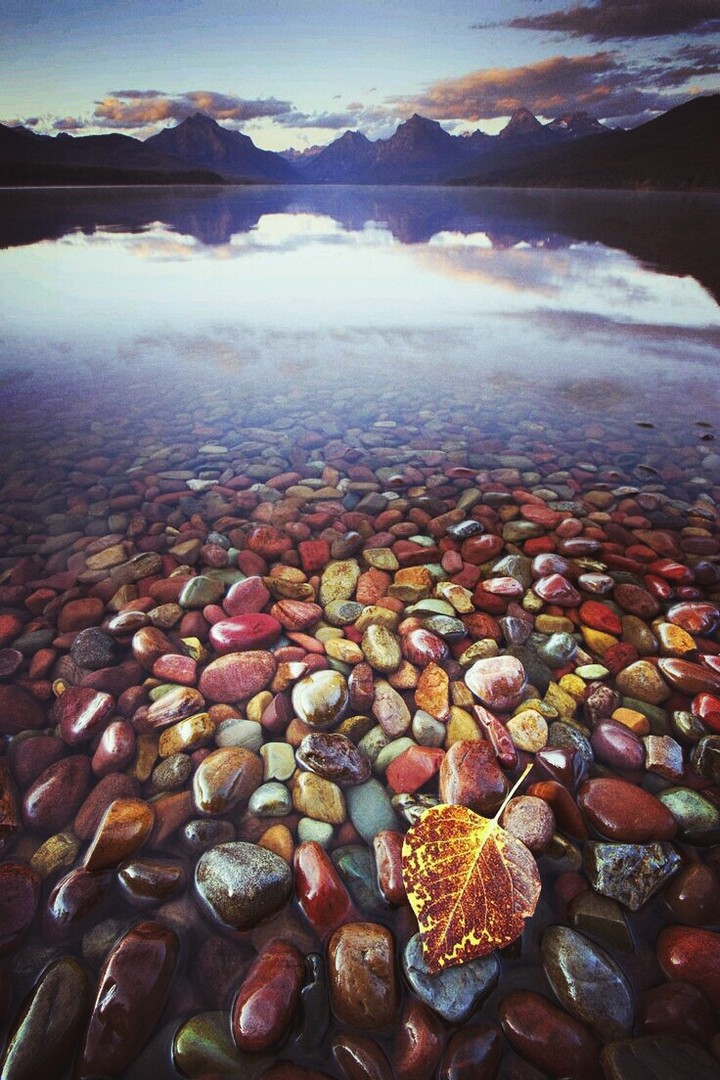 stone collection....?