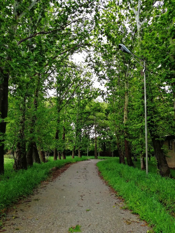 spring road