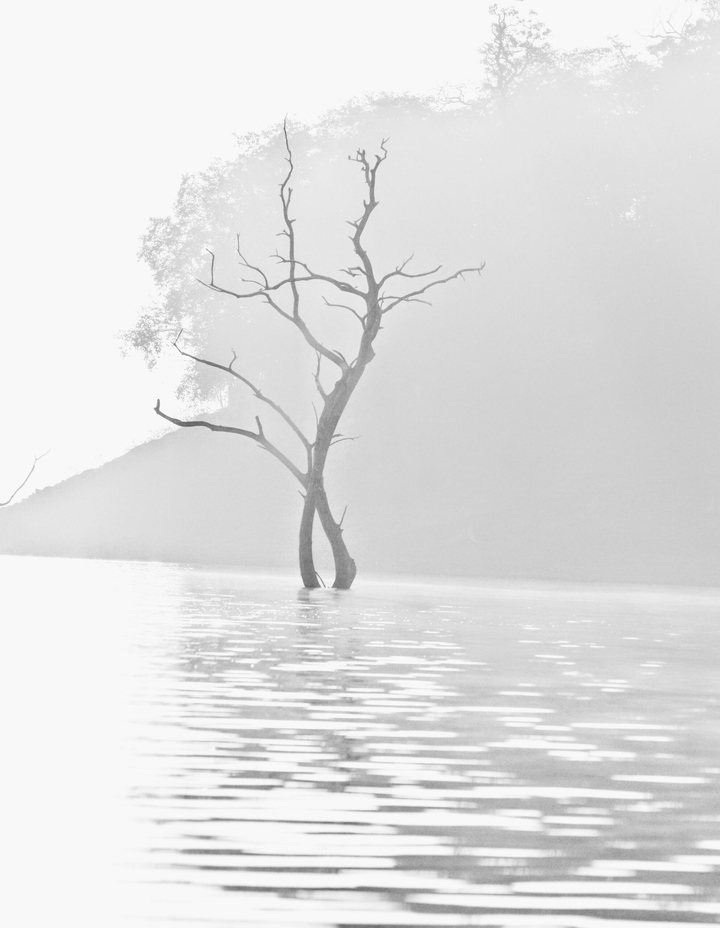 B&W world
