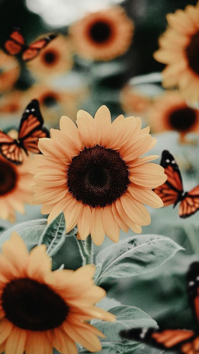 La belleza esta en lo más simple