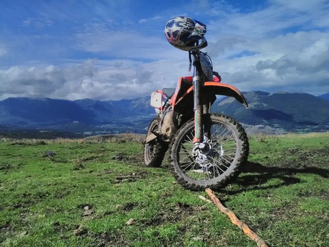 FREEDOM
