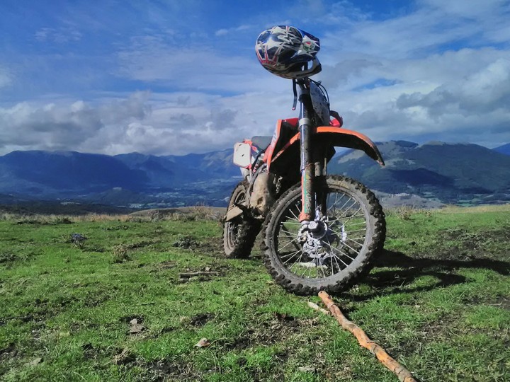 FREEDOM