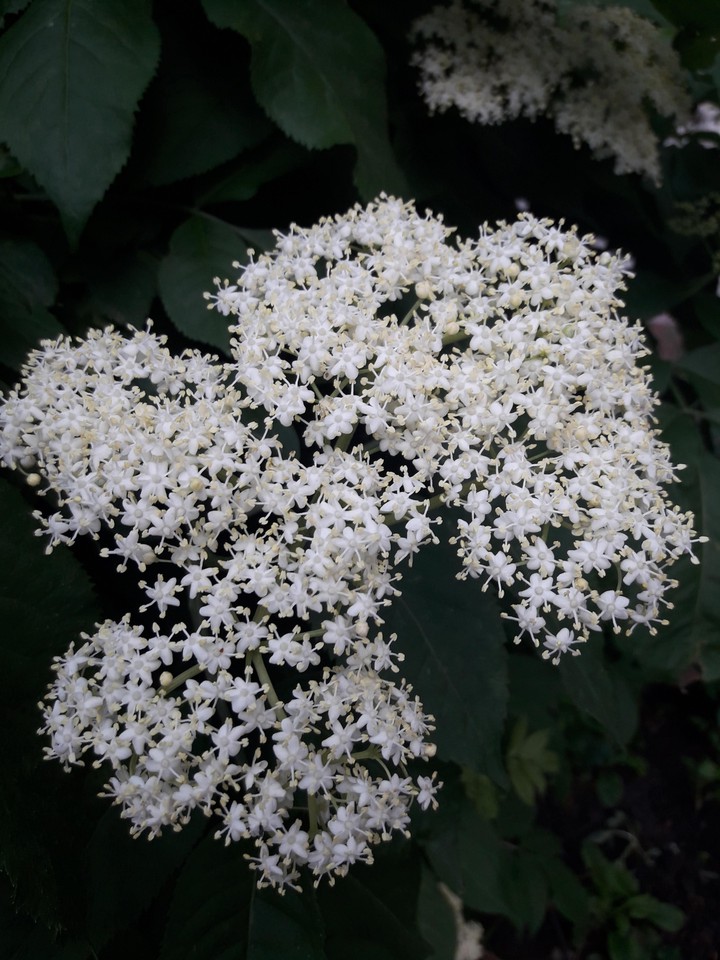 красиво