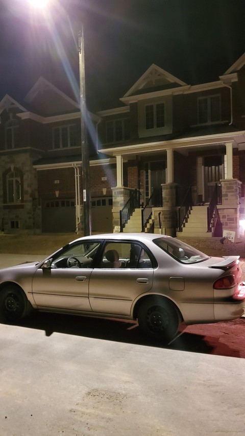 corolla