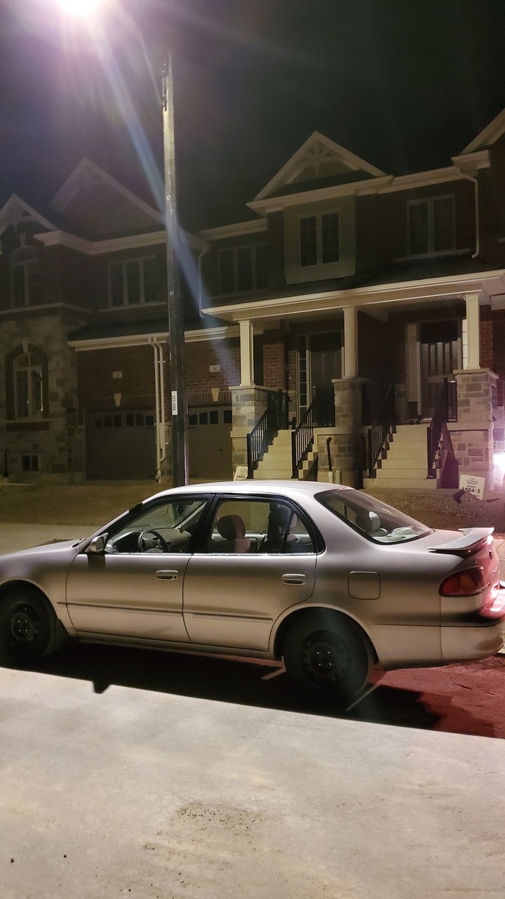 corolla