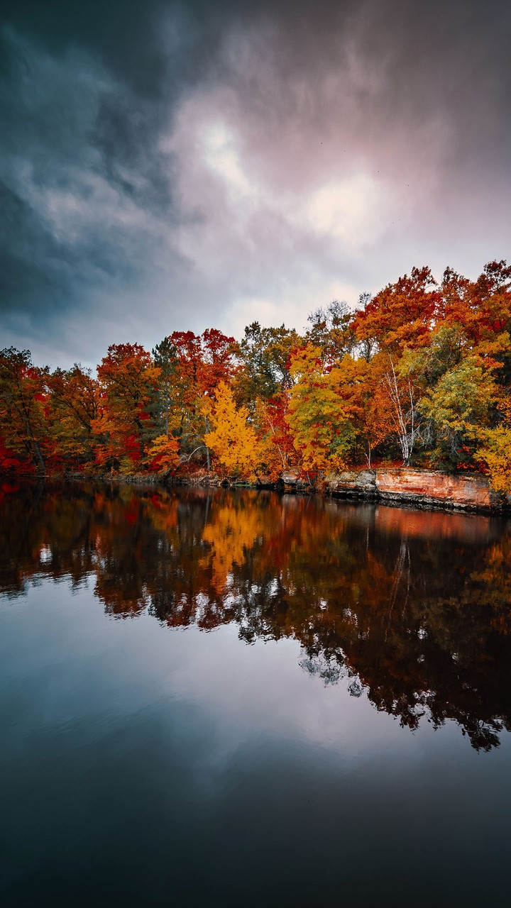 siempre en otoño