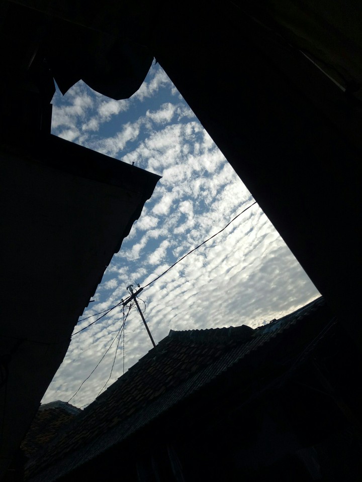 morning