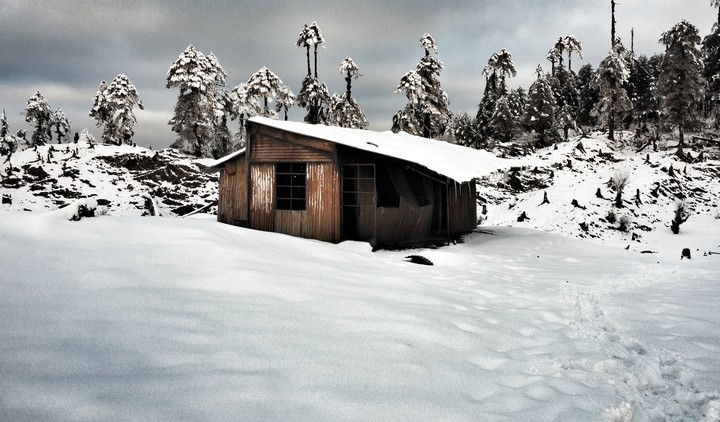 solitaire in the snowy mountains