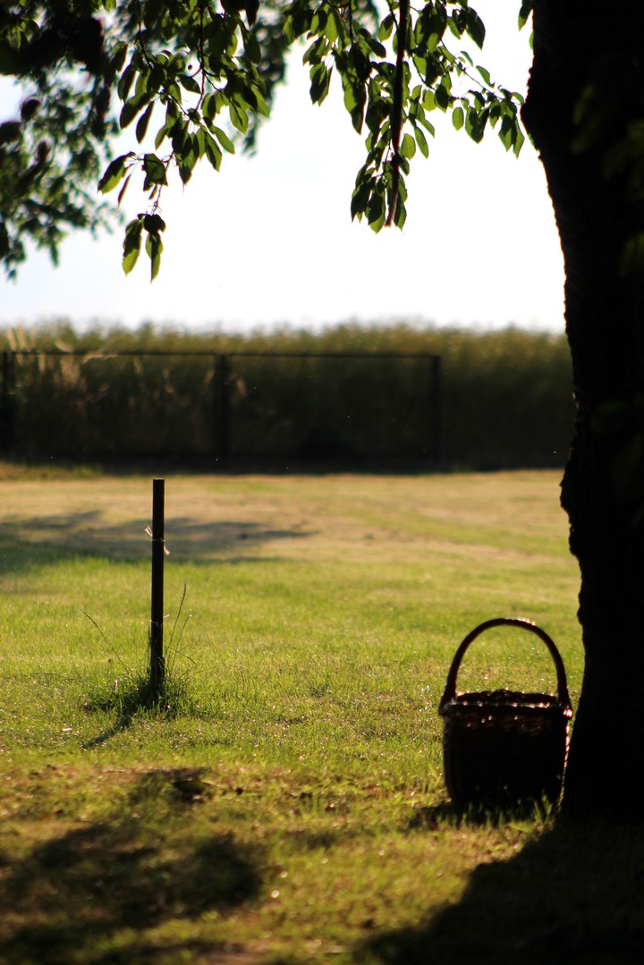Sweet, calm summer