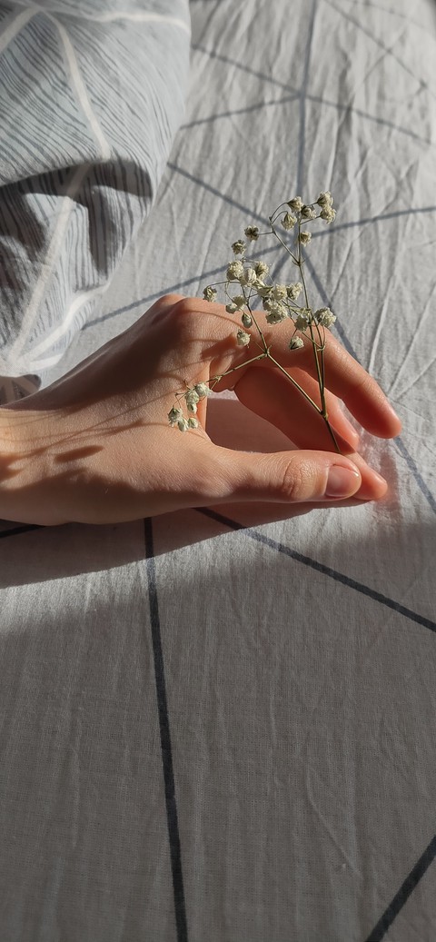 Morning