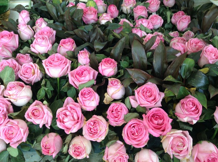 who loves some flowers