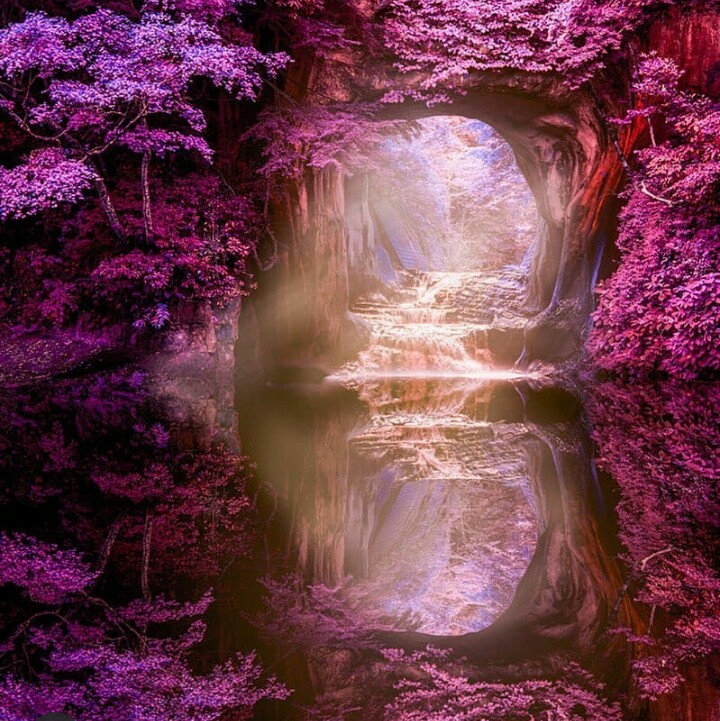 nature Japon⭐⭐⭐