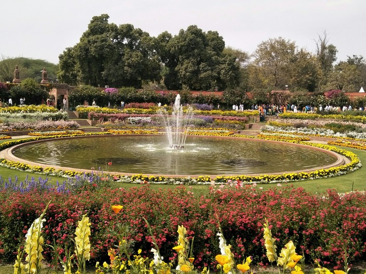 circular garden