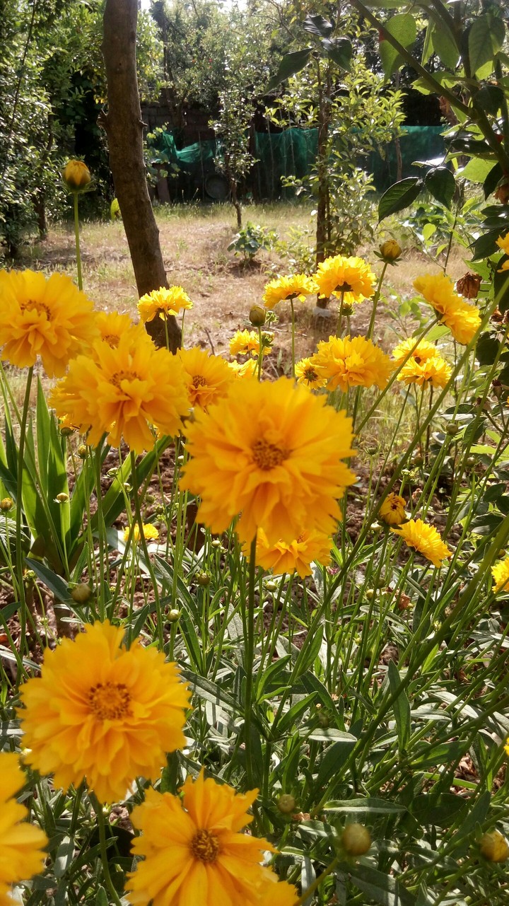 yellooooooow hellooooo