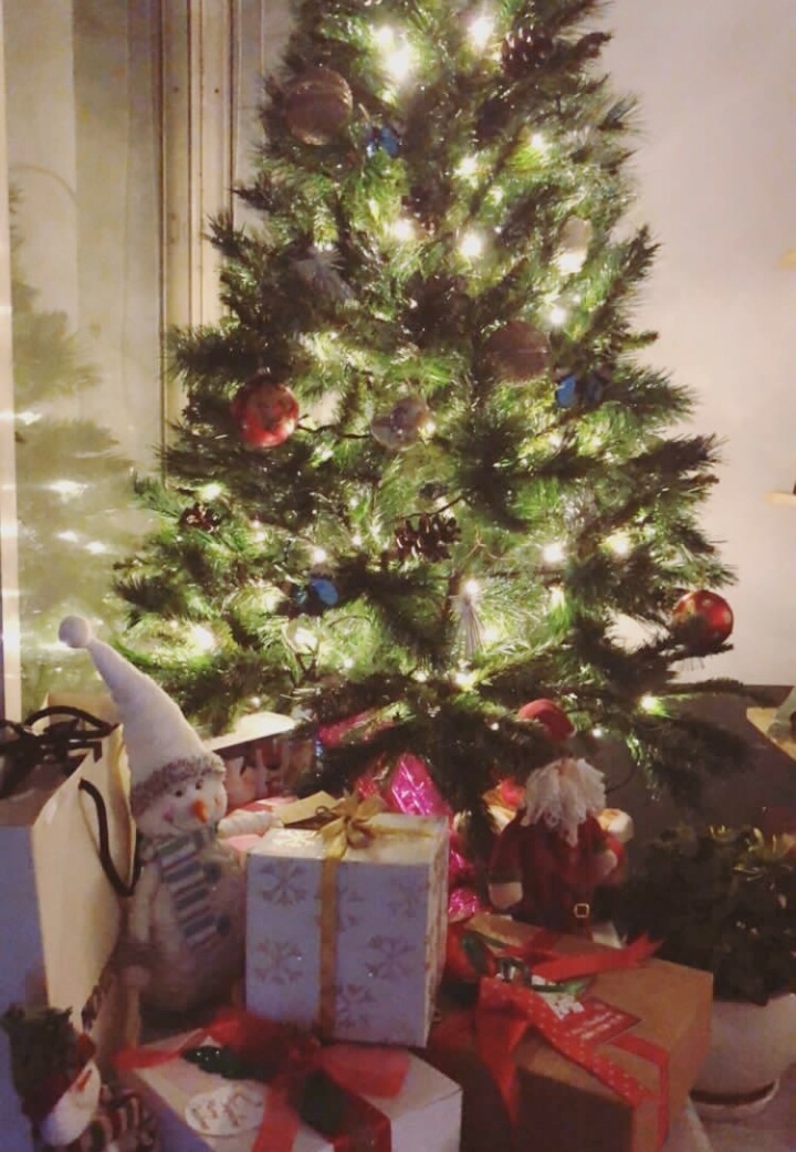Merry Christmas❄