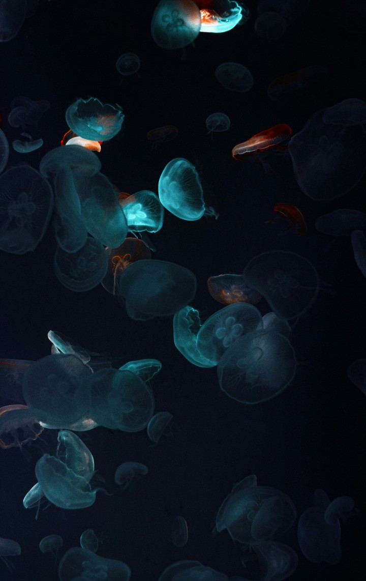 blue