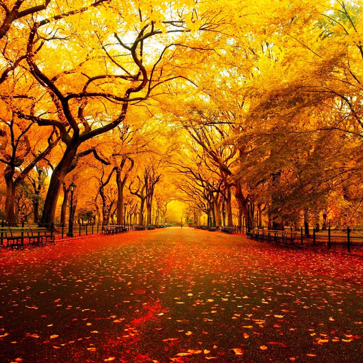 Autumn on it's Way