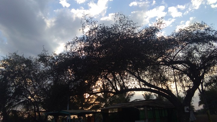 sunset