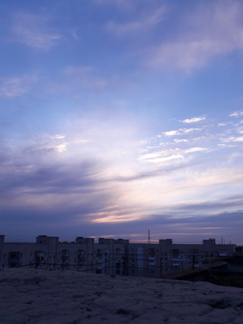 fly