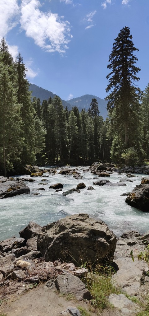 nature