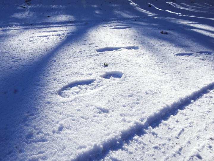 my foot steps