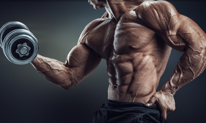 muscles