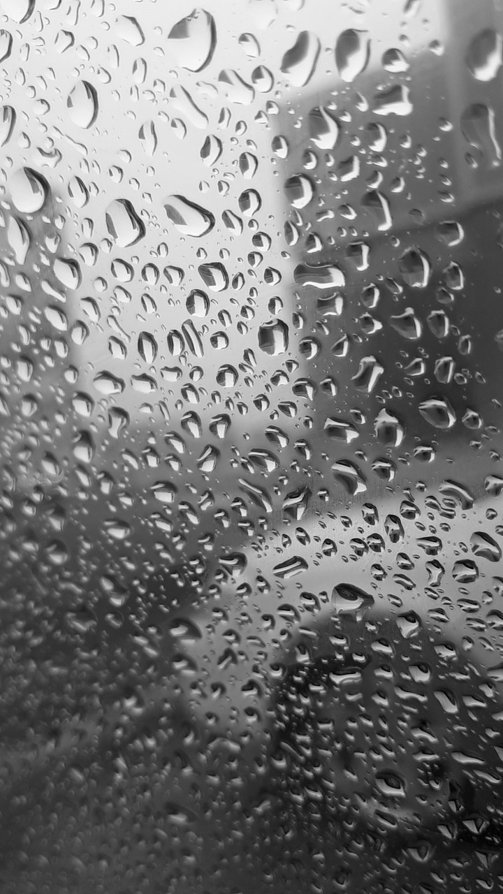 rainy window