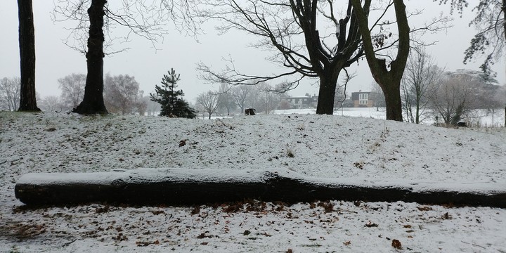 Yule log
