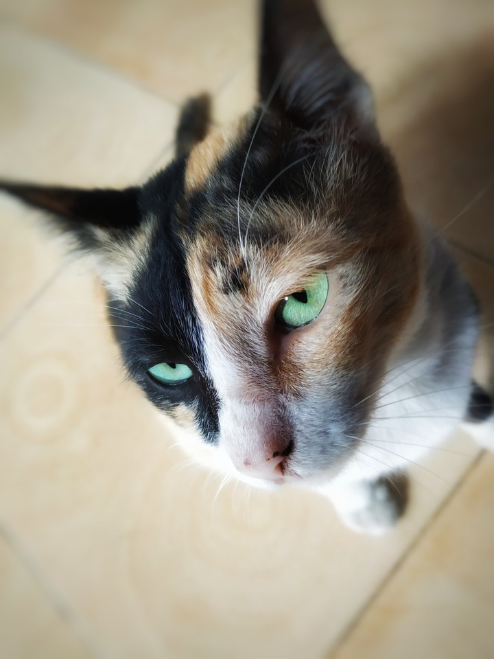 Where is my food?
