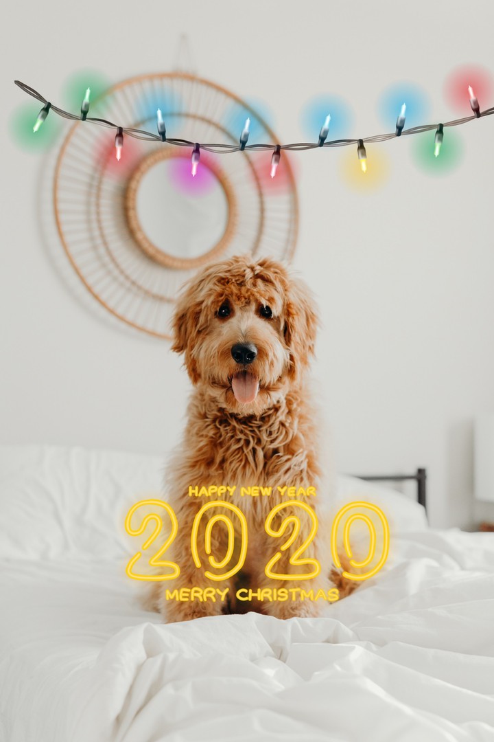 2020