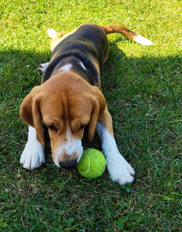My ball