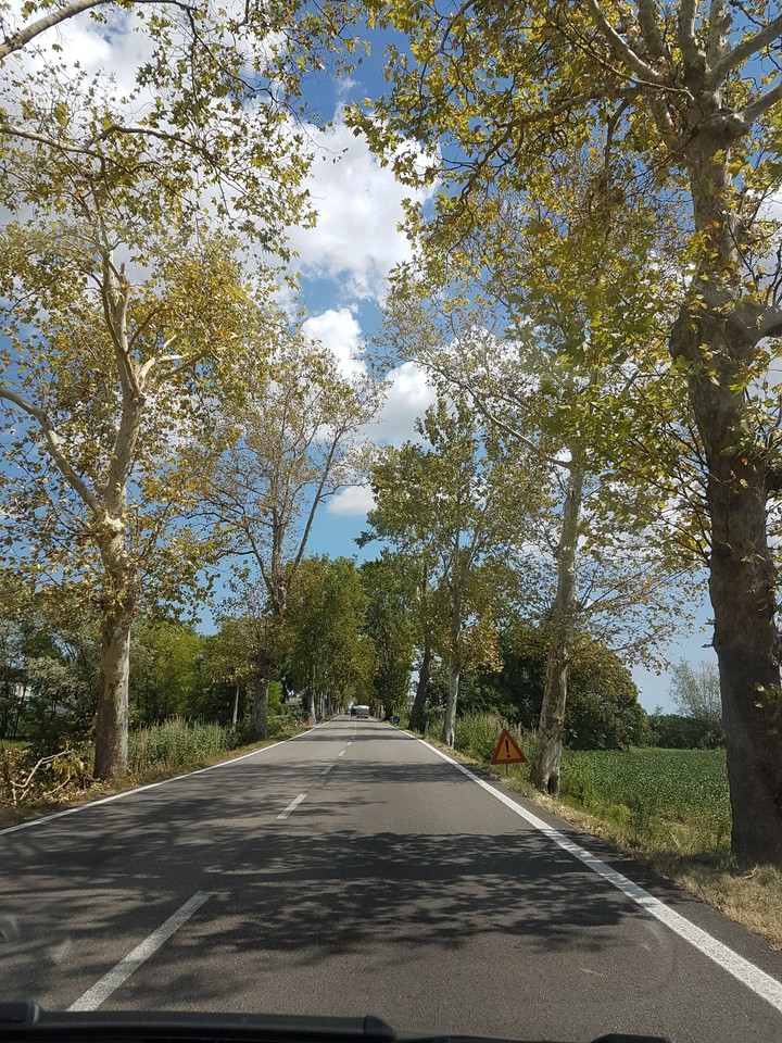 On the road