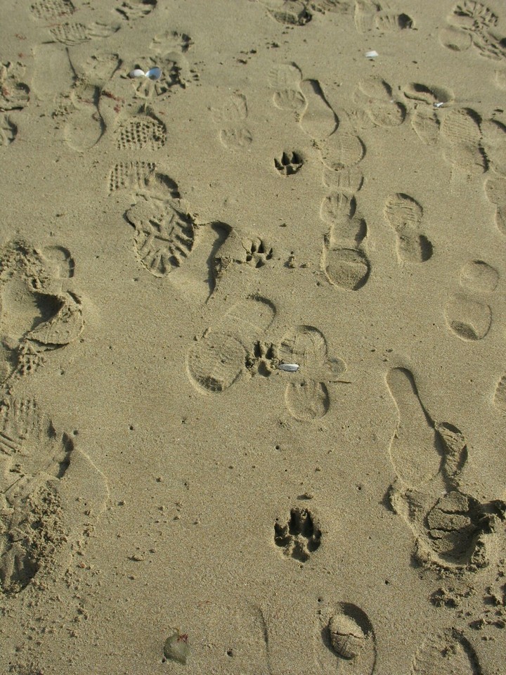 "Take only pictures, steal only time, leave only footprints"