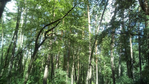 Красота природы