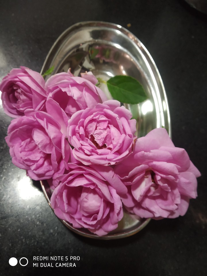 roses for gulcand