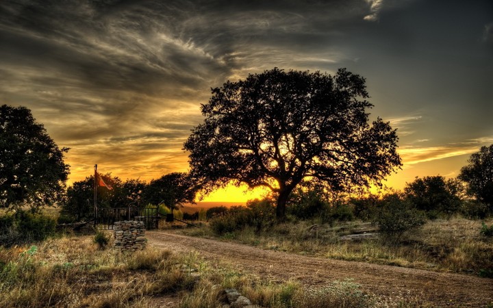 sunset