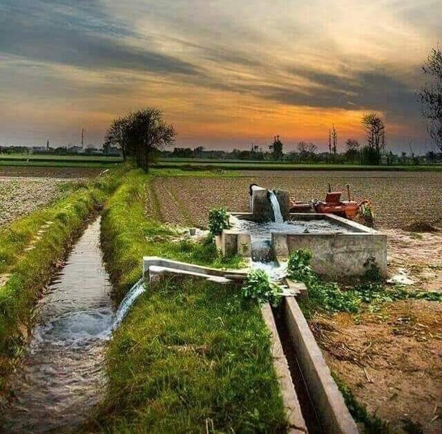 farm