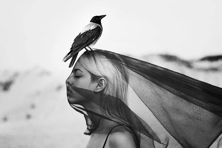 bird on head